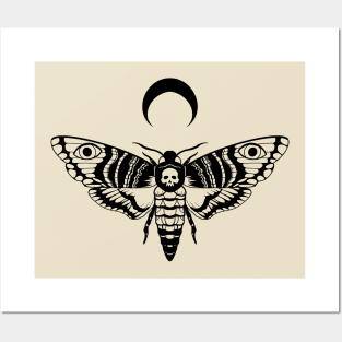 Death’s Head Moth Posters and Art